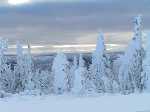 Dalton_Highway_in_Winter.jpg