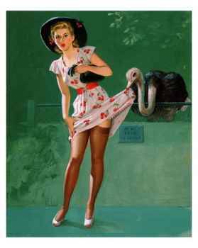 10100813A-Zoo-Postersostrich.jpg