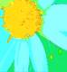 daisey