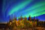 Northern Lights in Circle, AK