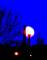 Nightlights