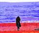 Red Tide