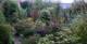 Garden of Doom - March 2008