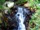 Silk Cascade