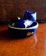 1. chaton bleu