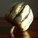 2. squash
