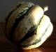 1. squash